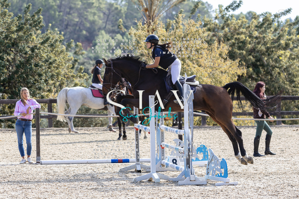 IMG_6240 | s-jay-photography - Realisiert mit Pictrs.com