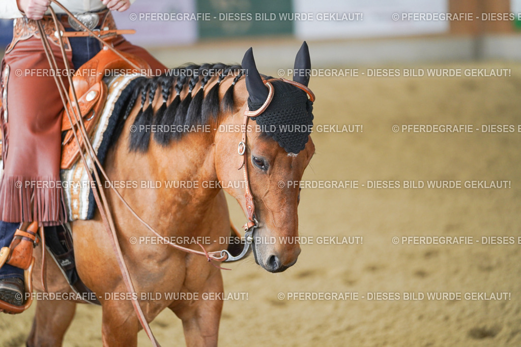 DSC03116 | Pferdegrafie