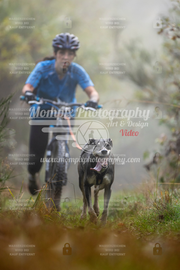 MompixPhotography_20TSB_E4_DS1-33 | PayLife