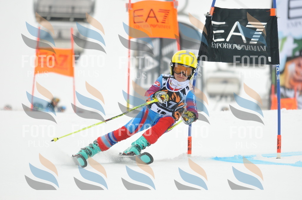 DSC_7646 | holidayphoto