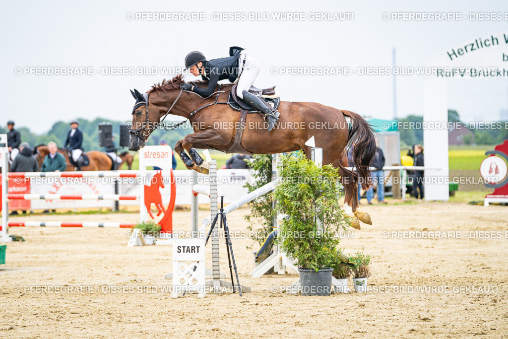 DSC07005 | Pferdegrafie