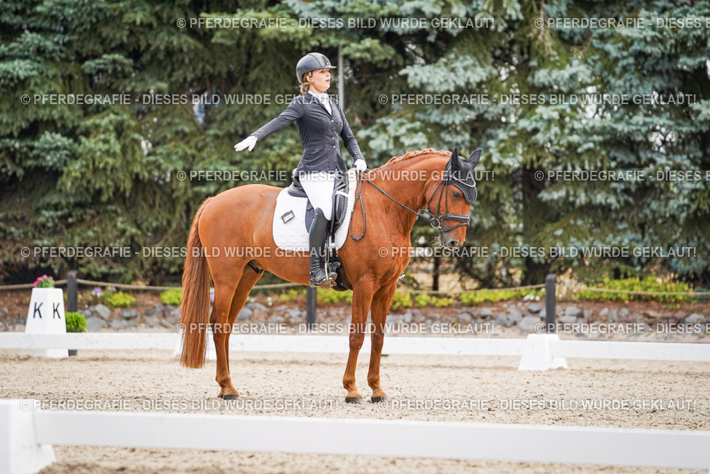 DSC01333 | Pferdegrafie