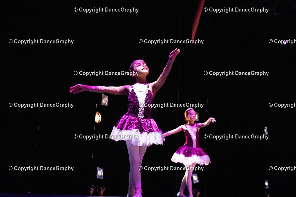 GPHY6469 | DanceGraphy - Realisiert mit Pictrs.com