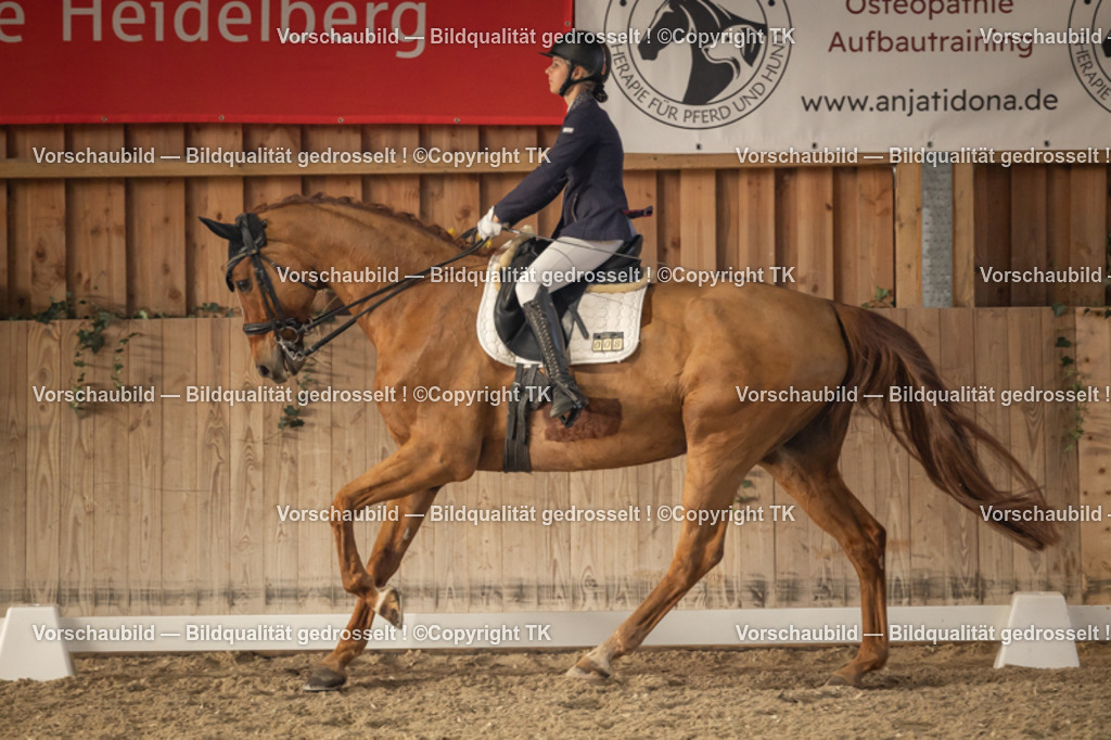 _D5A3288 | Emotionale Pferde- & People-Fotografie rund um Heidelberg, Leimen & Umgebung. Natürliche Fotos von Pferd, Mensch & Familie. Jetzt Termin sichern!