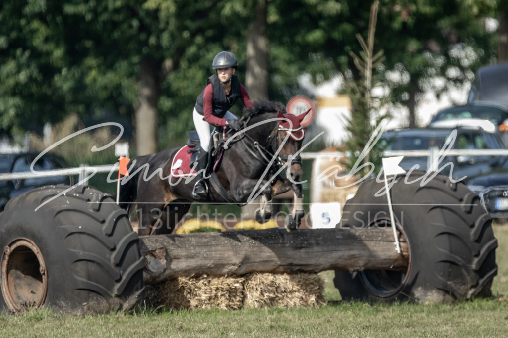 20250907-_3LR7850 | Tierfotografie Pferde, Hunde, Katzen, Haustiere.
Turnierfotografie Reitturniere, Reiten, Springreiten, Dressur in Hanau, dem Main-Kinzig-Kreis und dem Rhein-Main- Gebiet um Frankfurt
