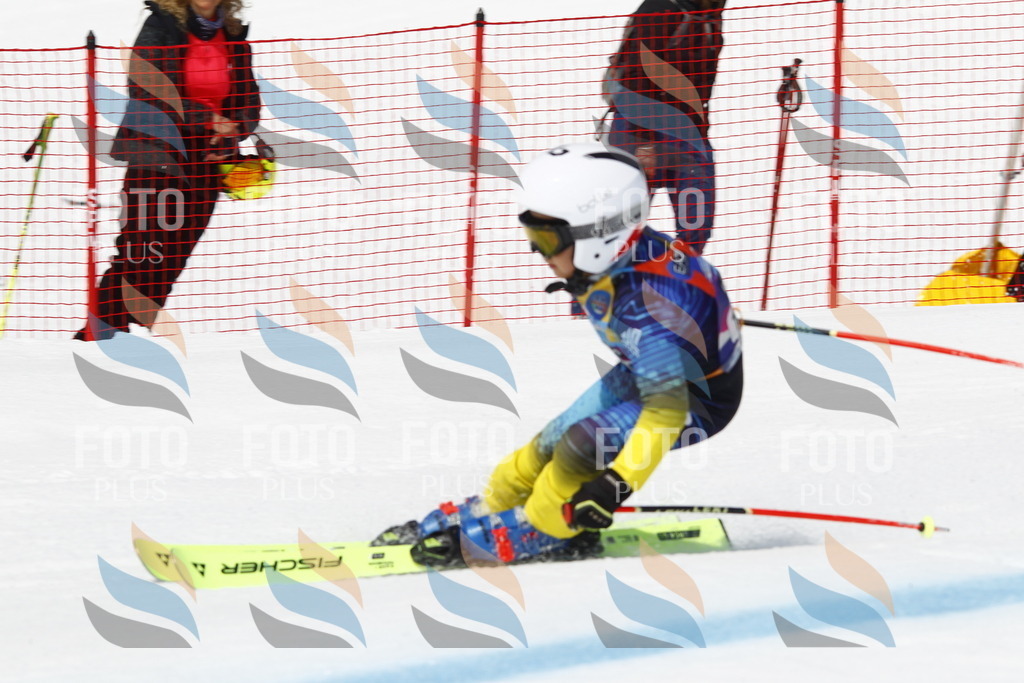 _U3G4867 | holidayphoto