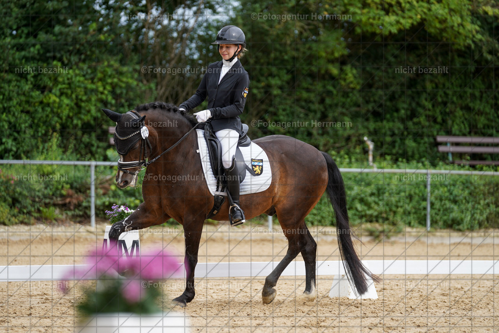 20240825-FAH00106 | Turnierbilder, Reitsportfotos, LAPO, Landesponyturnier, Turnierfotografen Bayern