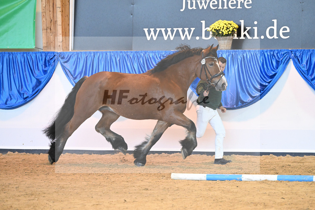 Kat-Nr. 23 Naomi_Wintgens_53221094 | hf-fotografie - Realizzato con Pictrs.com