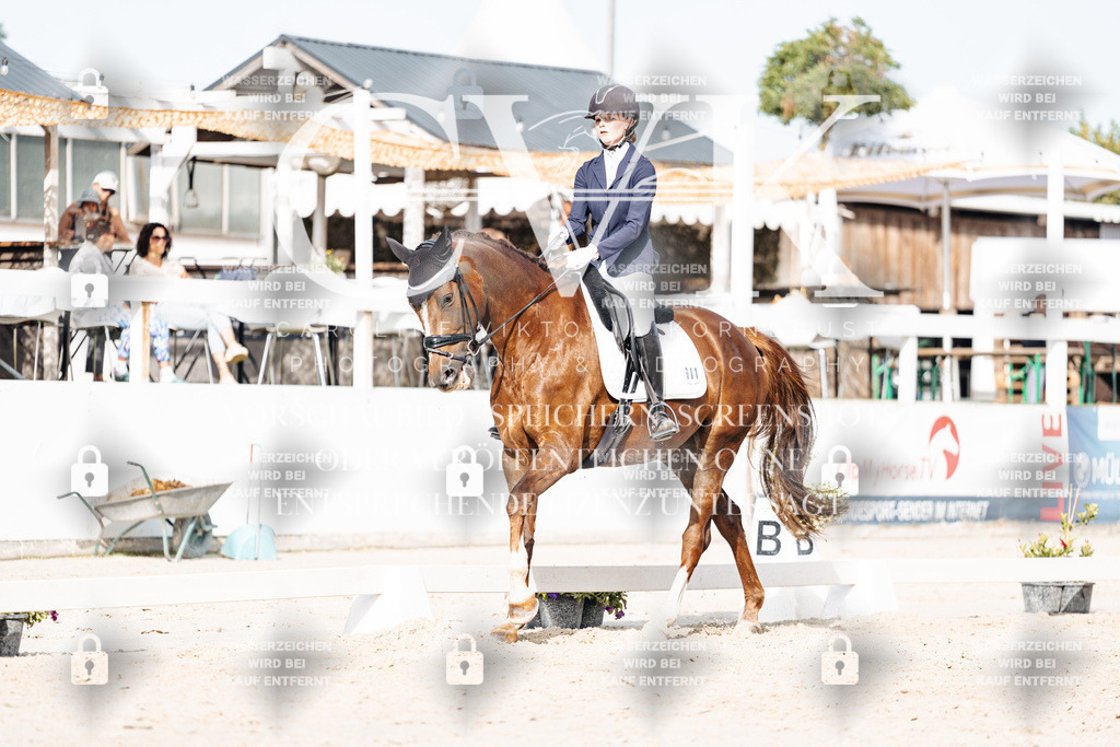 CK905192 | Turnierfotografie Pferdefotografie Trier Rheinland-Pfalz Pferdesport Reitsport Tierfotografie Sportfotografie Pferdevideo Pferdevideografie Equestrianvideography equestrianphotography  - Realisiert mit Pictrs.com