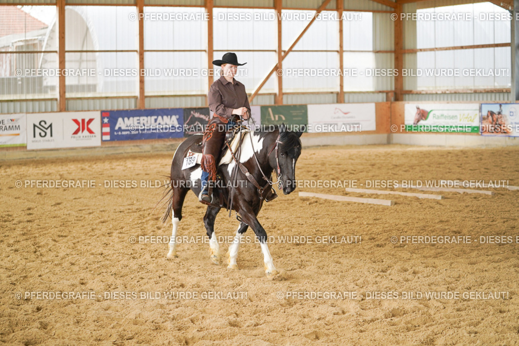 DSC04760 | Pferdegrafie