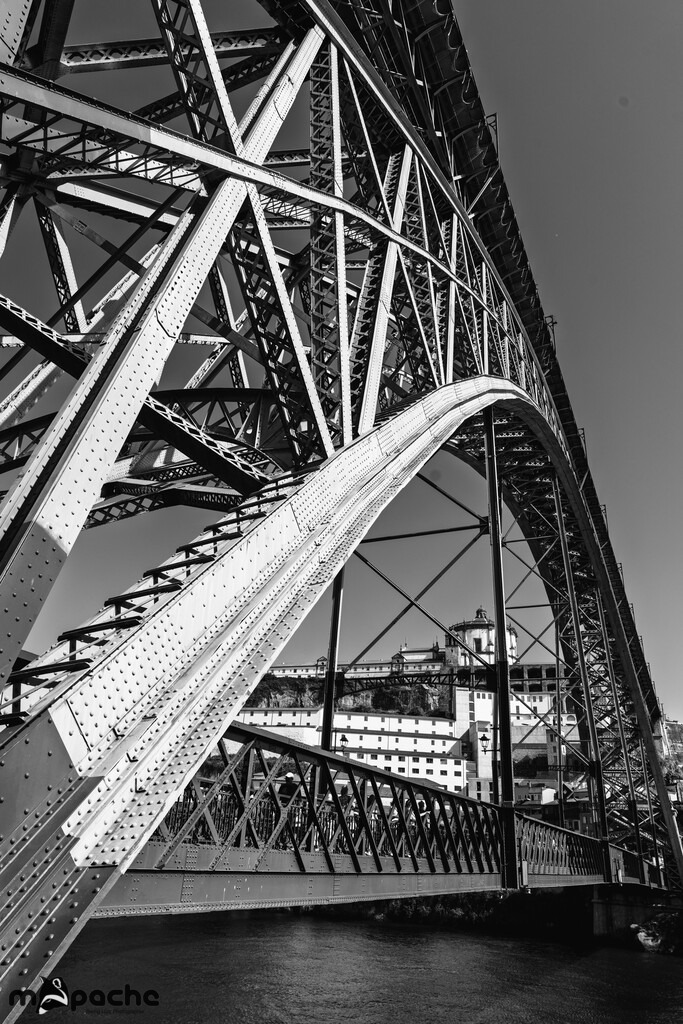 _AP21673-Bearbeitet | Bernd Lutz Photographie - Realisiert mit Pictrs.com