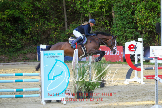 DKP42665 | Turniersportfotografie; Pferdefotografie; Dressurfotografie