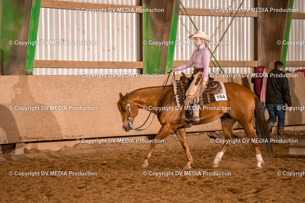 BAL03313 | dv-media-shop - Realisiert mit Pictrs.com