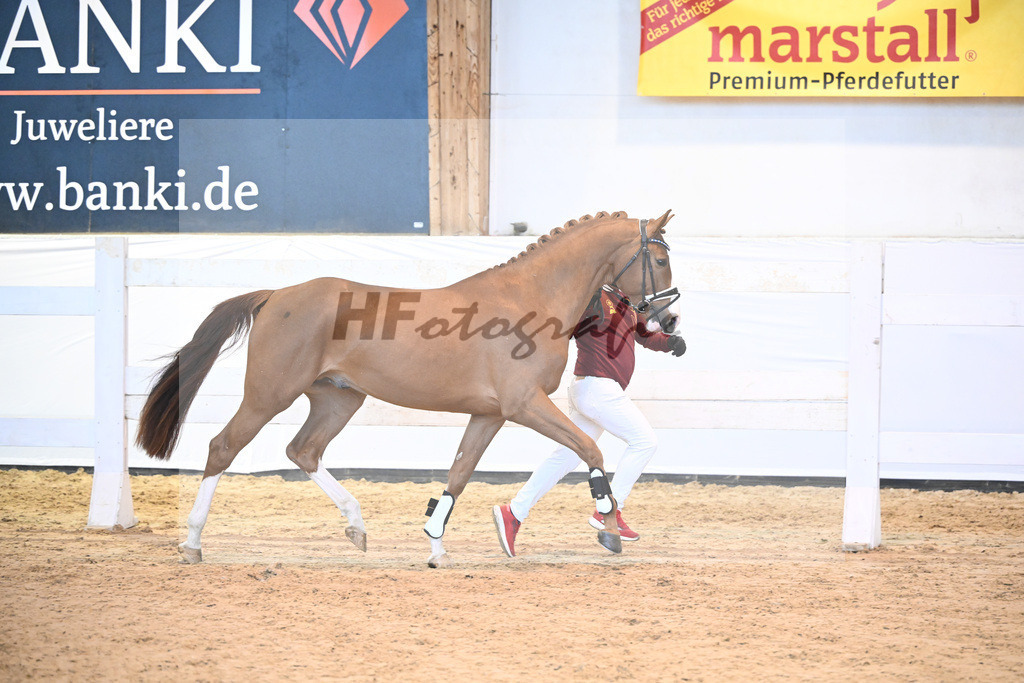 Kat-Nr. 25 v. Baggio_Heiterreiter GmbH_6240465 | hf-fotografie - Realisiert mit Pictrs.com