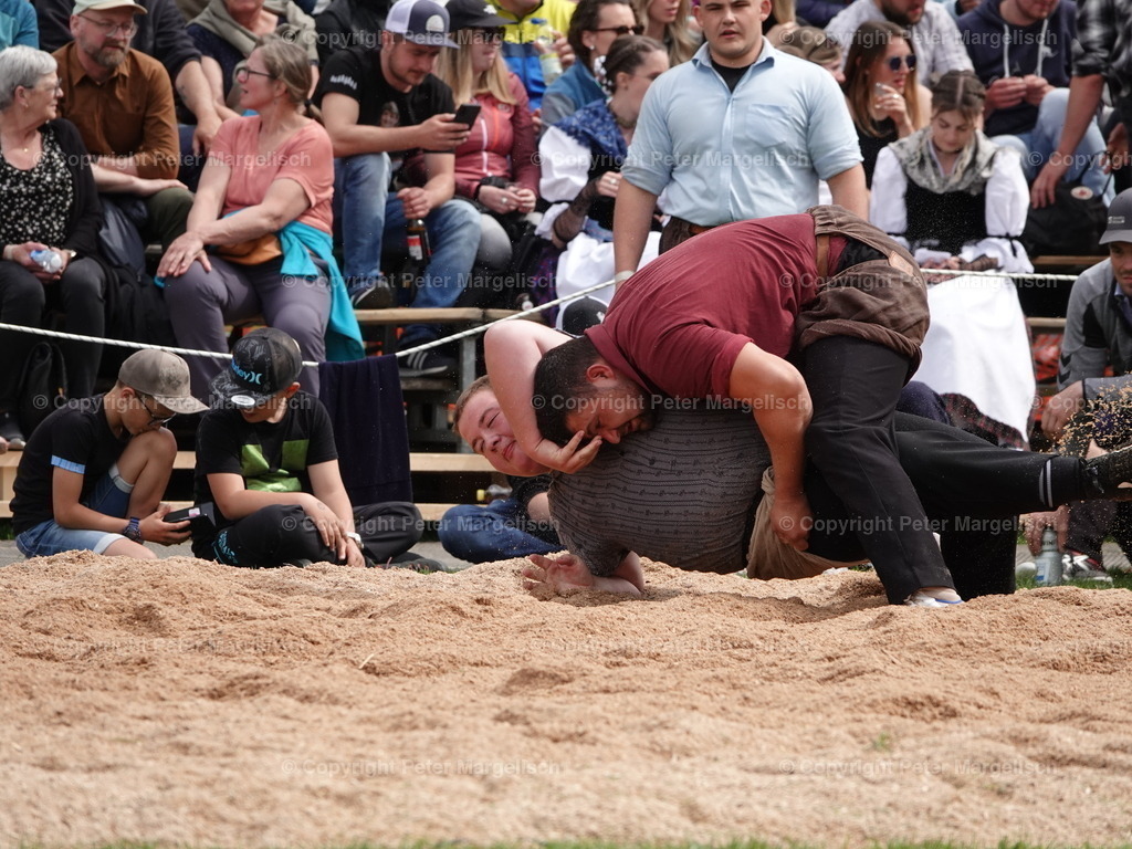 DSC07247 | Schwingen - Realisiert mit Pictrs.com