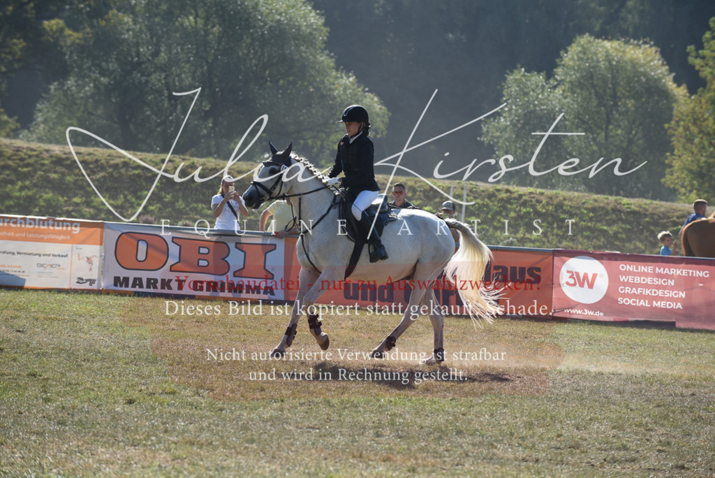 DSC_5862 | Pferde- und Turnierfotografie in Westsachsen. Pferdeportraits, Auftragszeichnungen und intuitive Kunst.