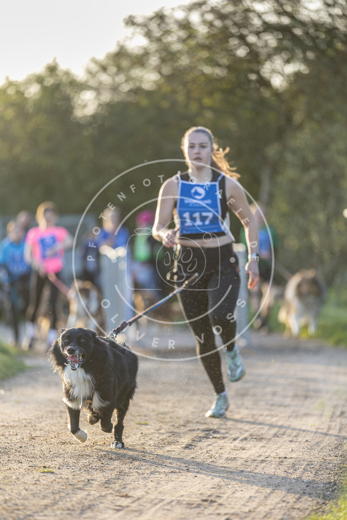 Pfotenfotografie.de_DV3A2472 | Hundefotografie, Tierfotograf, Pfotenfotografie, Fotoshooting Hund, Hunde Portrait, Hundesport, Hundeportraits, Heideshooting, Hunde, Sportfotograf, Hundefotograf, Turnierhundsport, THS, canicross - Realisiert mit Pictrs.com