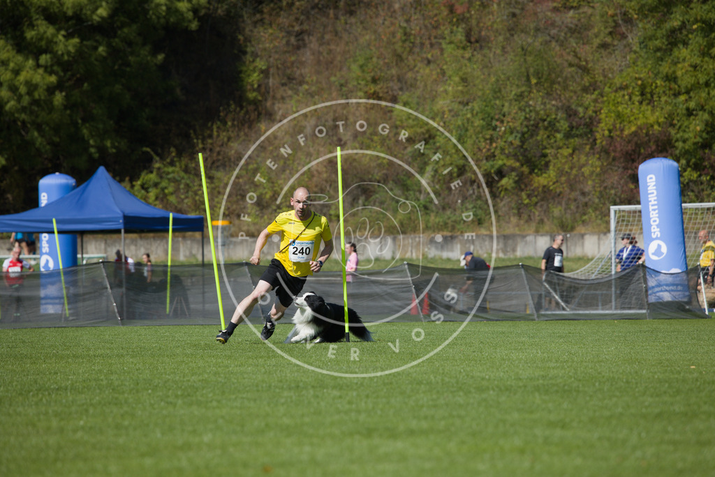 0L8A6135 | Hundefotografie, Tierfotograf, Pfotenfotografie, Fotoshooting Hund, Hunde Portrait, Hundesport, Hundeportraits, Heideshooting, Hunde, Sportfotograf, Hundefotograf, Turnierhundsport, THS,  - Realisiert mit Pictrs.com