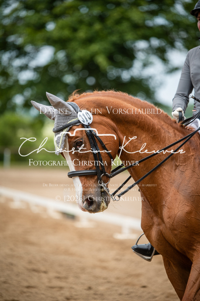 DSC_1317 | Christina-Kleuver