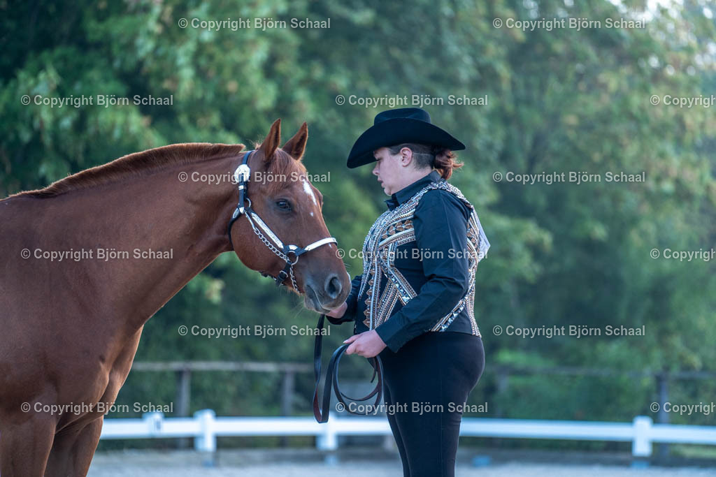 HOB07609 | BS-foto