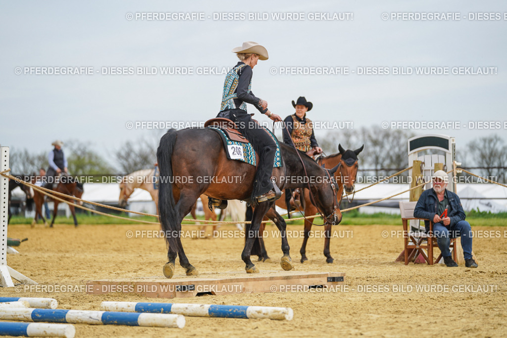 DSC03165 | Pferdegrafie