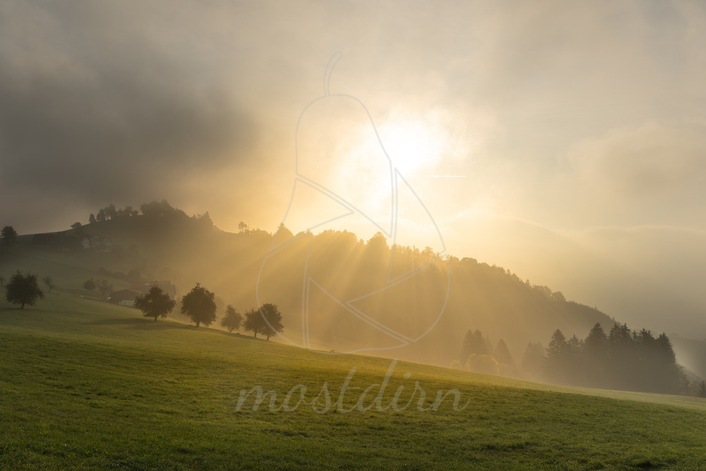 Leahoad Sonnenaufgang | Ihre Fotografin im Lungau, ihre Fotografin im Mostviertel, Wandbilder Onlineshop, Imagefotos für Ihr Unternehmen,  - Realisiert mit Pictrs.com