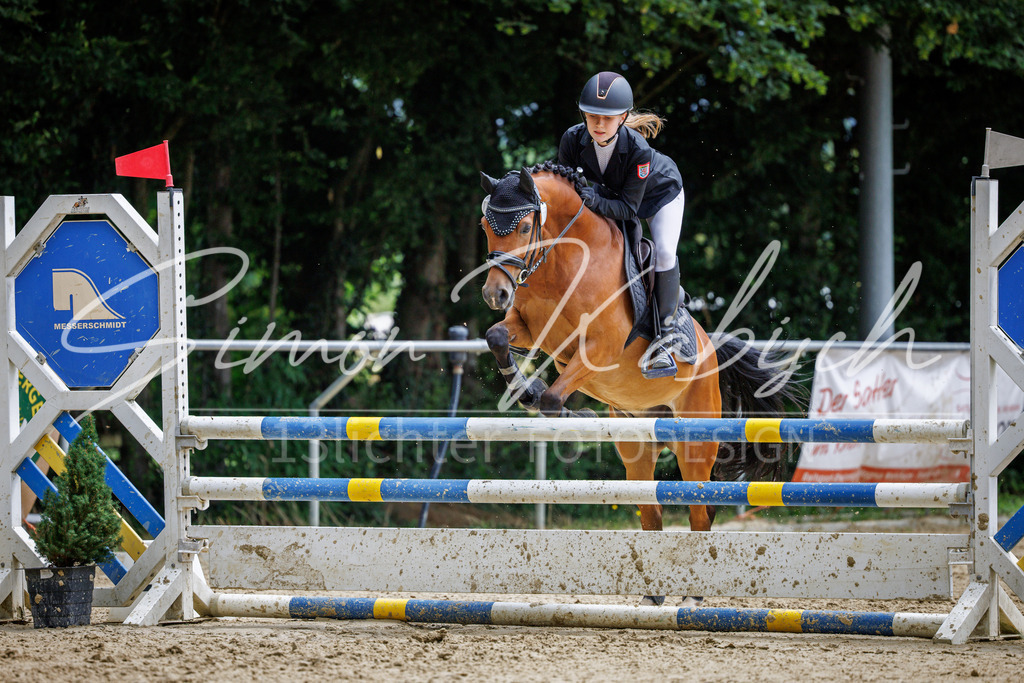 20260705-_3LI5482 | Tierfotografie Pferde, Hunde, Katzen, Haustiere.
Turnierfotografie Reitturniere, Reiten, Springreiten, Dressur in Hanau, dem Main-Kinzig-Kreis und dem Rhein-Main- Gebiet um Frankfurt