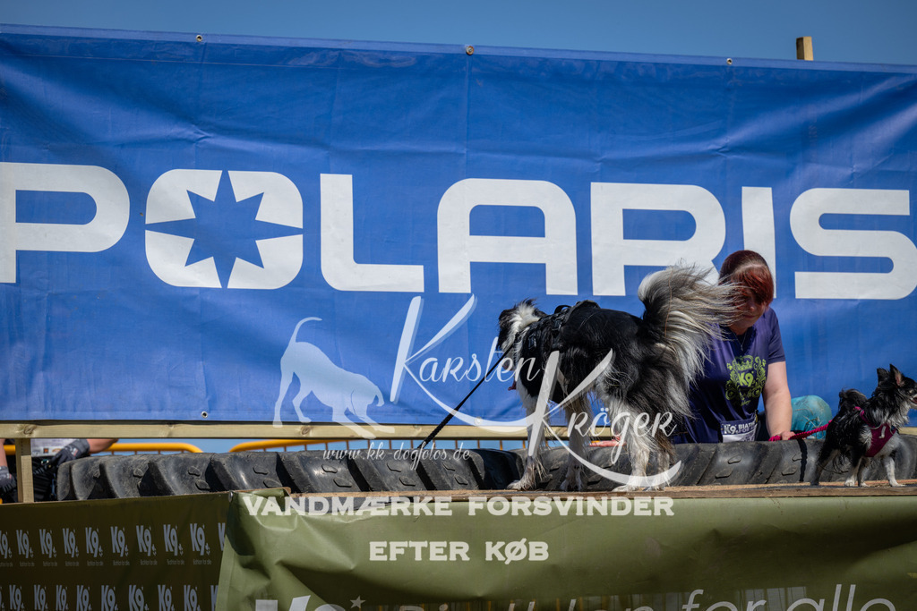 1301_ZZ97844 | kk-dogfotos