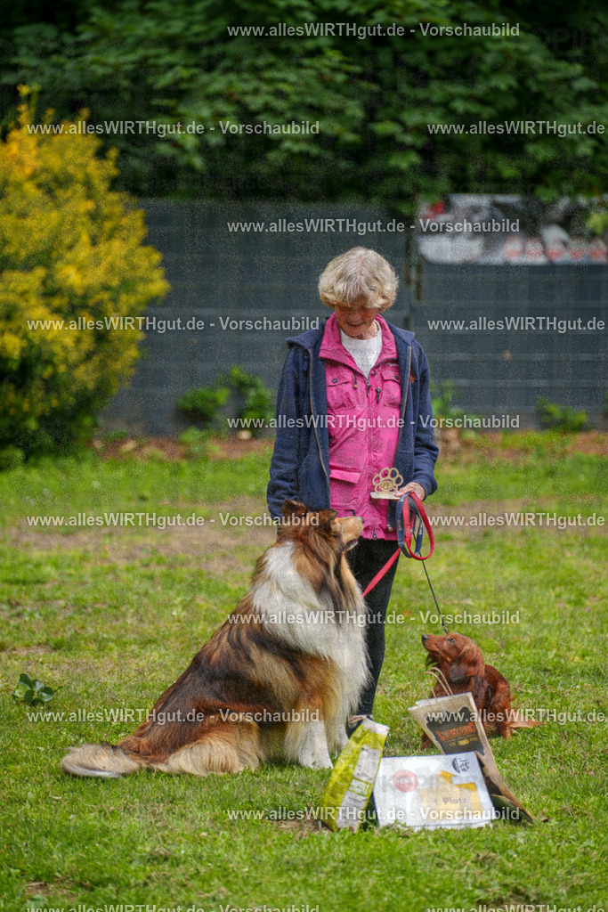 @allesWIRTHgut_Tierfotografie - www.allesWIRTHgut.de - 115148-7R508683 | Professionelle Tierfotografie in Mönchengladbach von Daniel Wirth (allesWIRTHgut). Liebevolle & natürliche Bilder von Hunden & Katzen für unvergessliche Erinnerungen.
