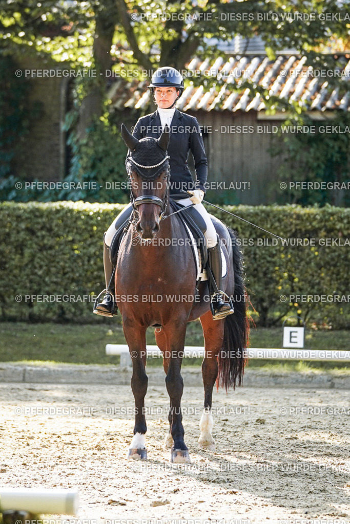 DSC06336 | Pferdegrafie