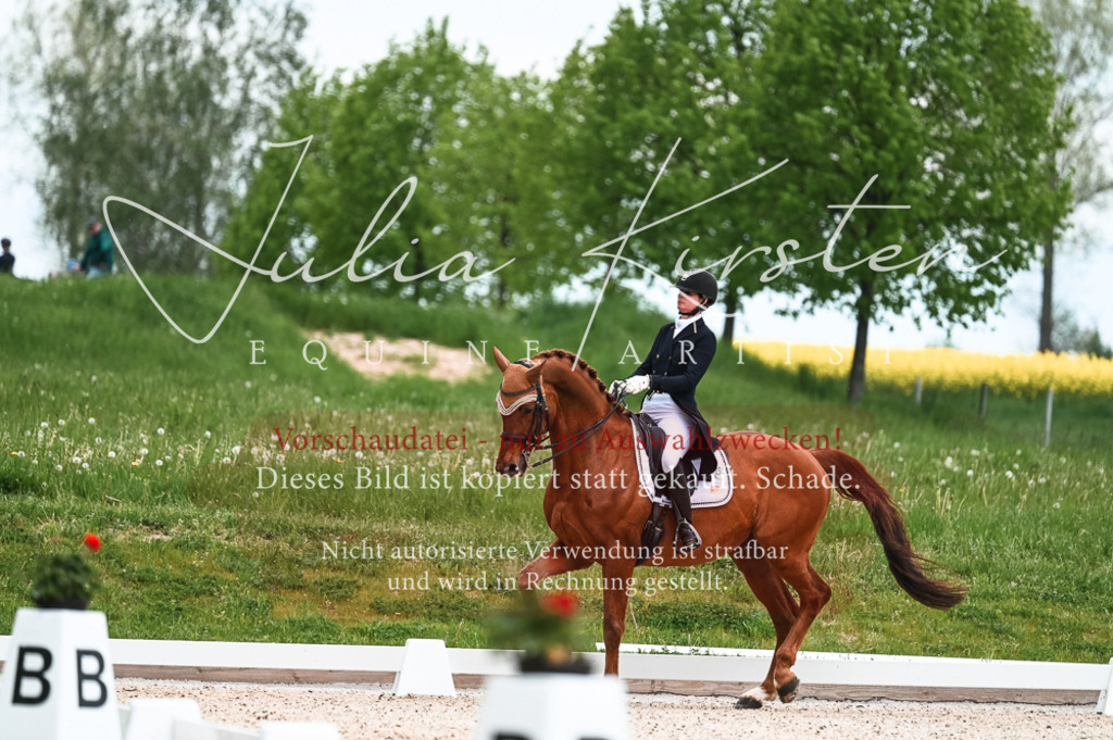 20230514_JK-Röhrsdorf-21-014 | Pferde- und Turnierfotografie in Westsachsen. Pferdeportraits, Auftragszeichnungen und intuitive Kunst.