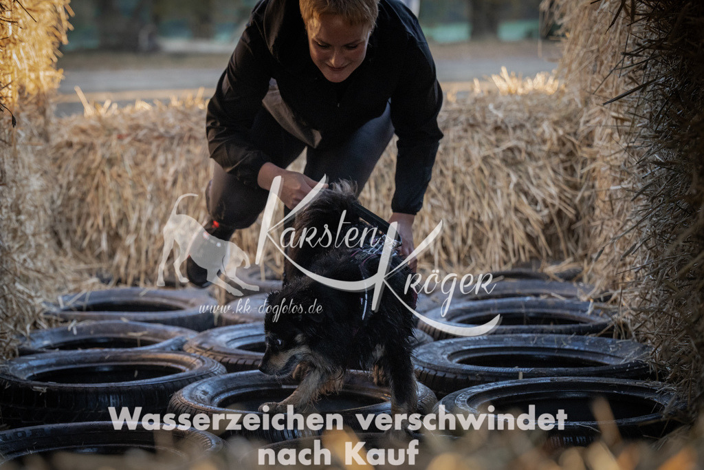 0936_ZZ93823 | kk-dogfotos