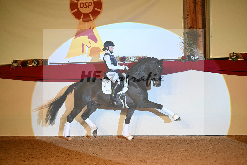 Montgomery_1234947 | hf-fotografie - Realisiert mit Pictrs.com