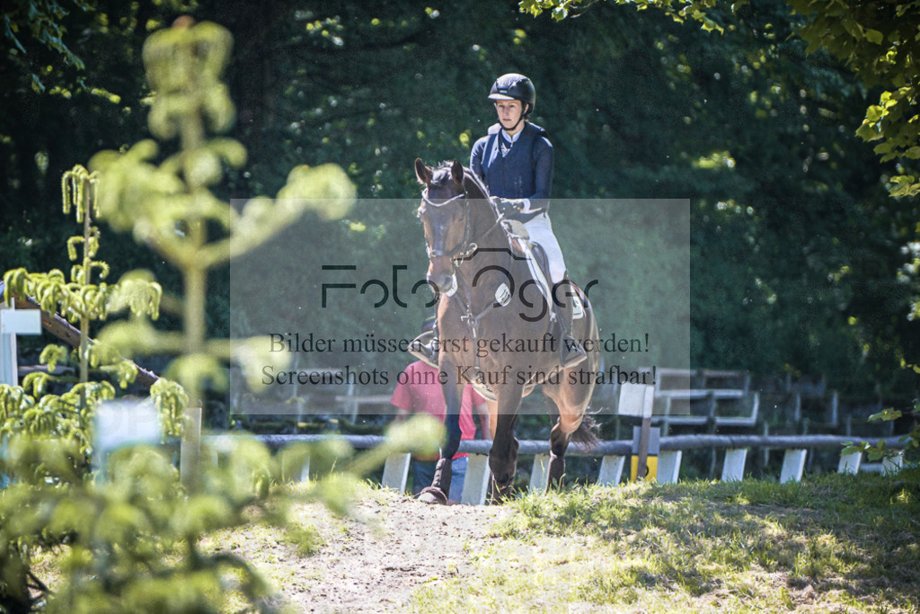 DOS_2674 | Entdecke hochwertige Reitturnierfotos von Foto Oger. Professionell, emotional und authentisch – jetzt Lieblingsmomente im Shop bestellen.Deutschlandweite Turnierfotografie. - Realisiert mit Pictrs.com