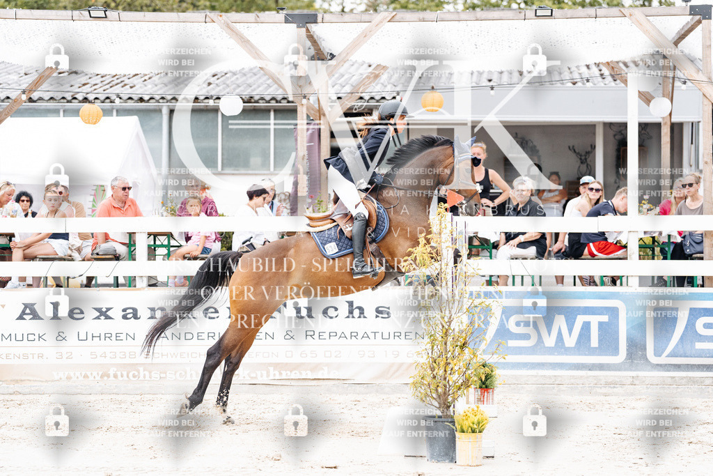 CK906227 | Turnierfotografie Pferdefotografie Trier Rheinland-Pfalz Pferdesport Reitsport Tierfotografie Sportfotografie Pferdevideo Pferdevideografie Equestrianvideography equestrianphotography  - Realisiert mit Pictrs.com