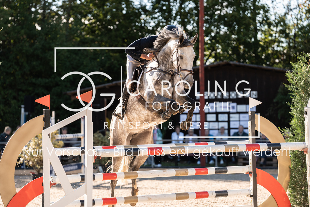 DSC04426 | Carolin Gieschke