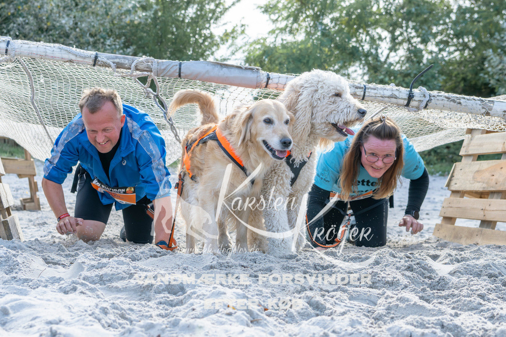 1245_ZZ93217 | kk-dogfotos