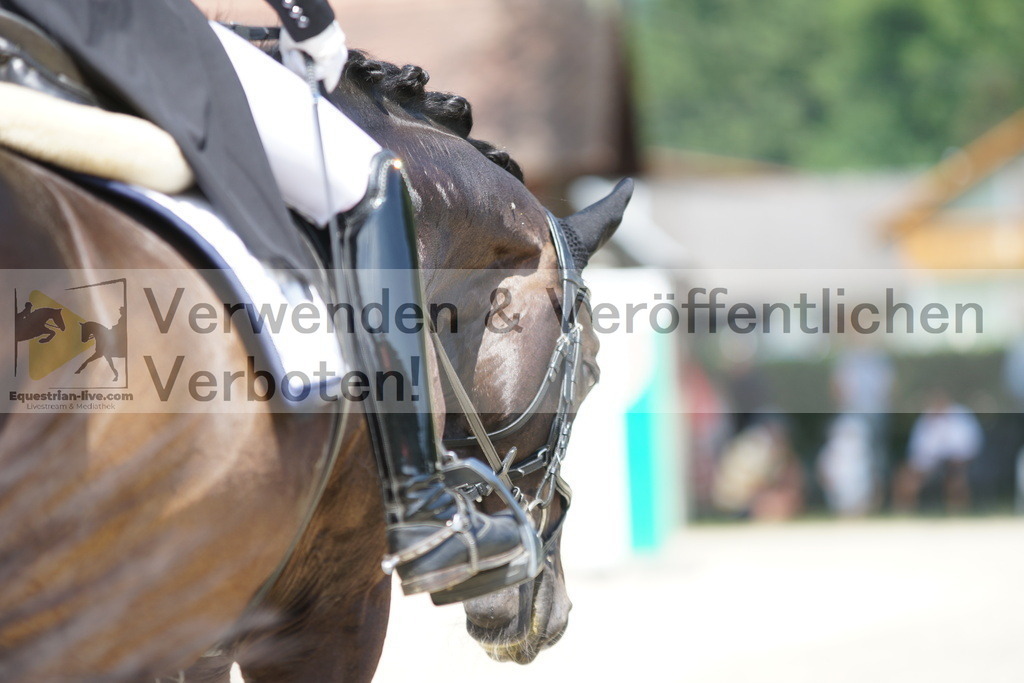 DSC05253 | equestrian-live-com