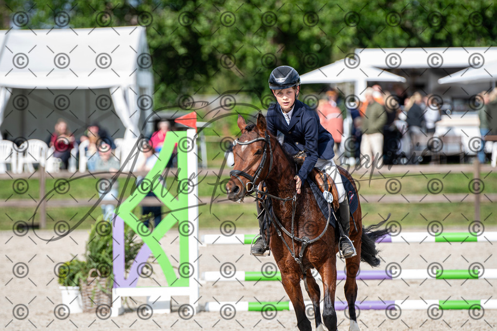 KPT_6739 | andre_photographic