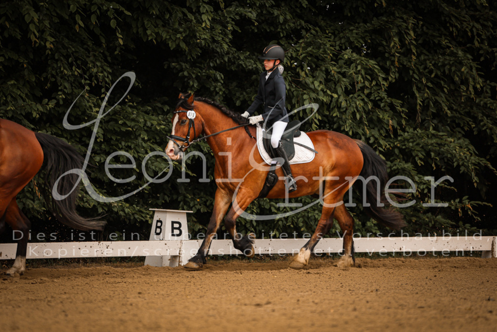 DoDrE00035 | Leoni Ertmer Photography - Realisiert mit Pictrs.com