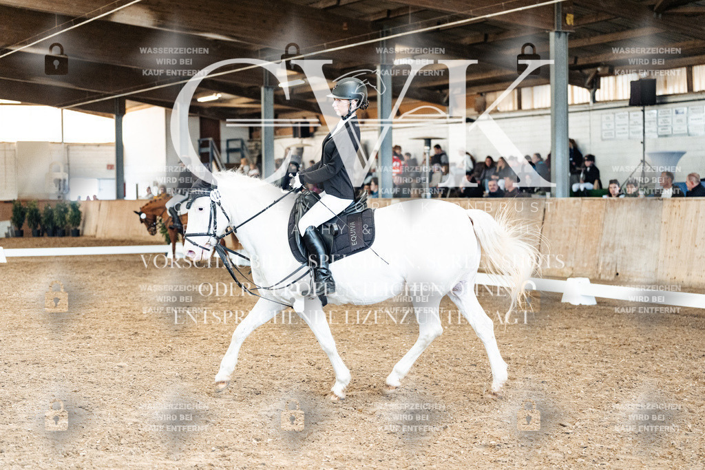 CK900262 | Turnierfotografie Pferdefotografie Trier Rheinland-Pfalz Pferdesport Reitsport Tierfotografie Sportfotografie Pferdevideo Pferdevideografie Equestrianvideography equestrianphotography  - Realized with Pictrs.com