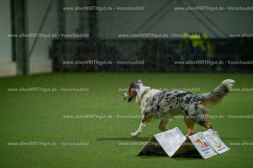 7R509573 | Professionelle Tierfotografie in Mönchengladbach von Daniel Wirth (allesWIRTHgut). Liebevolle & natürliche Bilder von Hunden & Katzen für unvergessliche Erinnerungen.