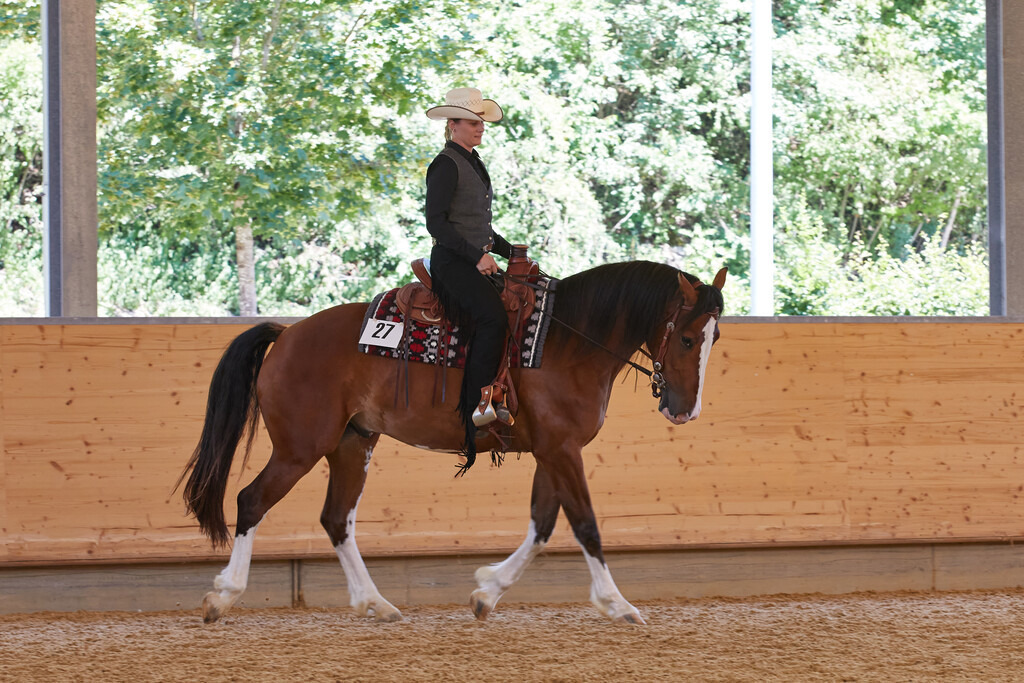 2020_07_19 Schweizersbild 107 | Peter Fridle Fotografie - Realisiert mit Pictrs.com