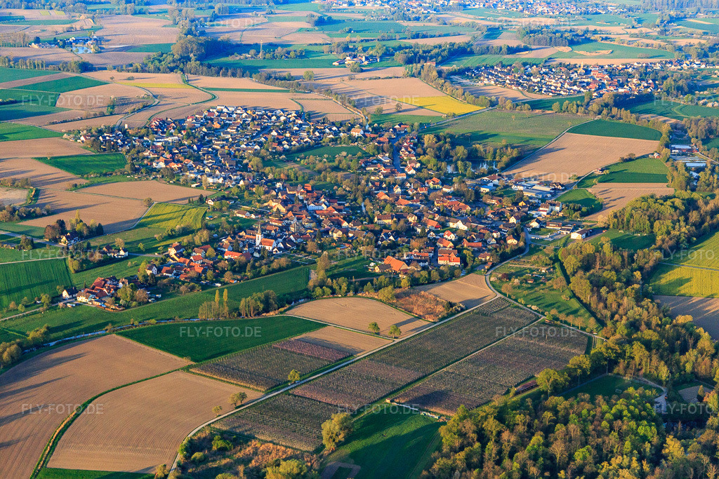Luftbild: Ortsansicht von Norden im Ortsteil Diersheim in Rheinau im Bundesland Baden-Württemberg in Deutschland. Foto: IMG_126553.jpg vom 25.04.2021 durch Werner Riehm/FLY-FOTO.de