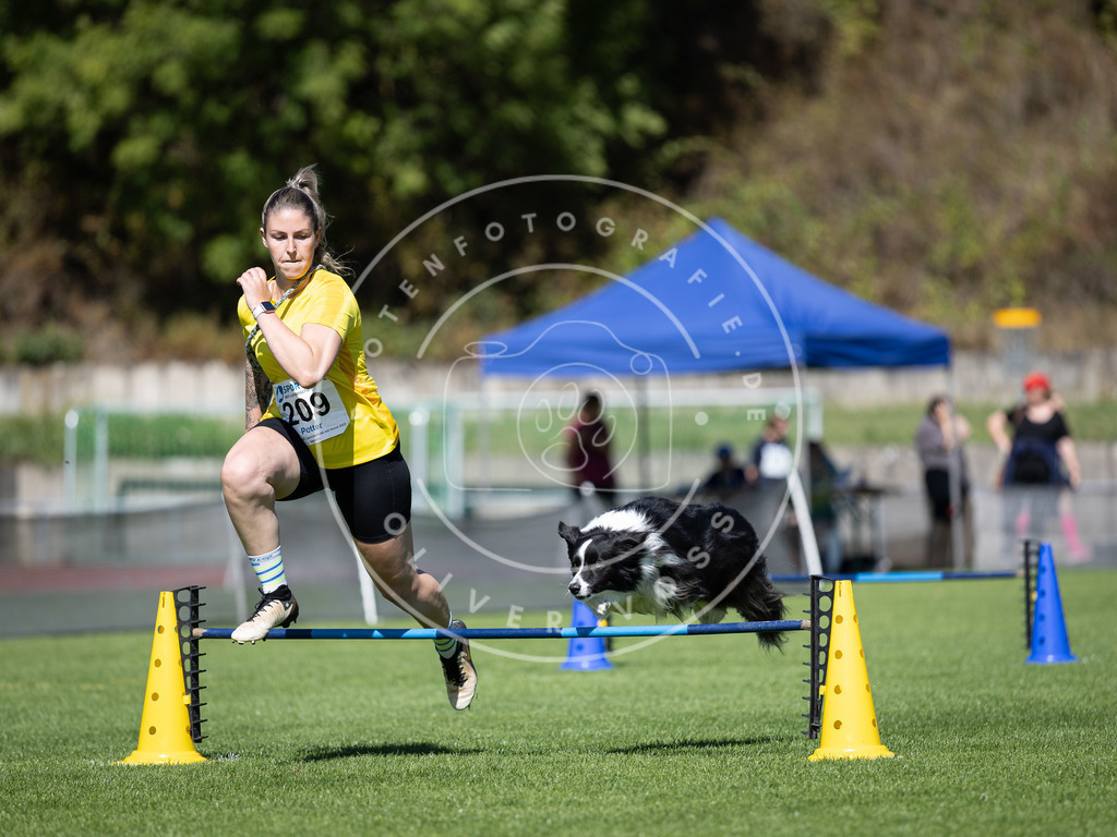 Pfotenfotografie_DV3A5137 | Hundefotografie, Tierfotograf, Pfotenfotografie, Fotoshooting Hund, Hunde Portrait, Hundesport, Hundeportraits, Heideshooting, Hunde, Sportfotograf, Hundefotograf, Turnierhundsport, THS,  - Realisiert mit Pictrs.com