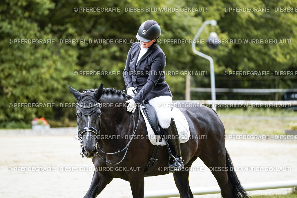 DSC09498 | Pferdegrafie