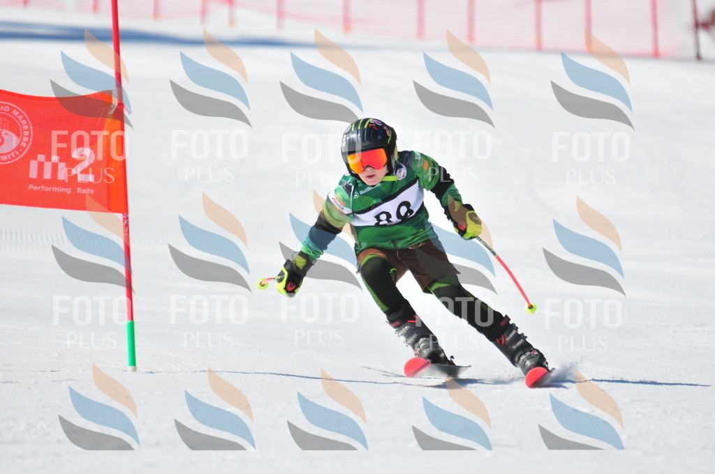 C3171 | holidayphoto