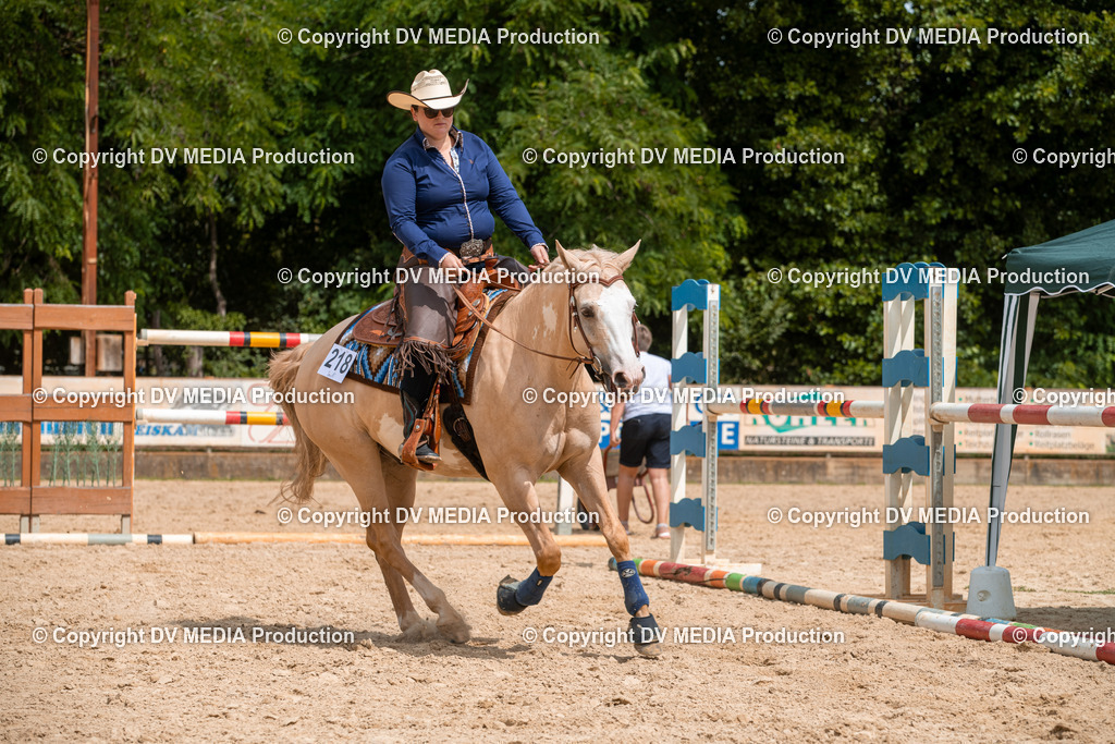 EWP_6189 | dv-media-shop - Realisiert mit Pictrs.com