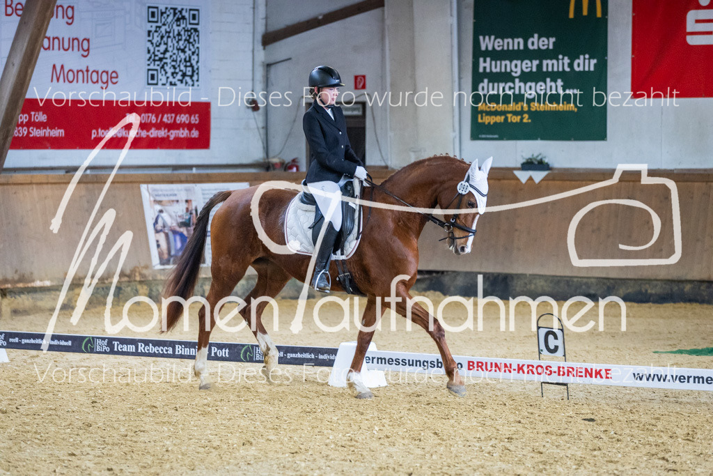 Sth-WBO25-EDr-119 | MomenTaufnahmen Pferdesportfotos