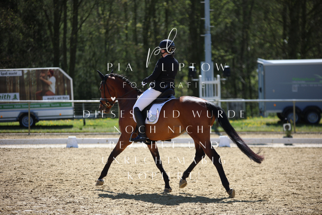 IMGT1041 | pl-fotografie